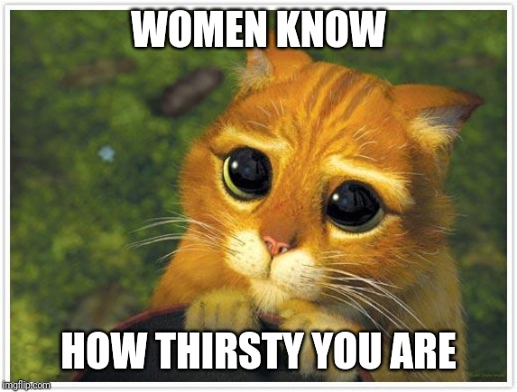 Shrek Cat Meme | WOMEN KNOW; HOW THIRSTY YOU ARE | image tagged in memes,shrek cat | made w/ Imgflip meme maker