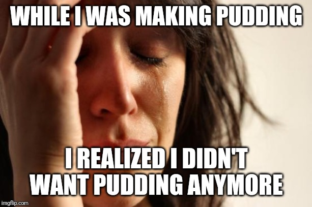 First World Problems Meme | WHILE I WAS MAKING PUDDING; I REALIZED I DIDN'T WANT PUDDING ANYMORE | image tagged in memes,first world problems,AdviceAnimals | made w/ Imgflip meme maker