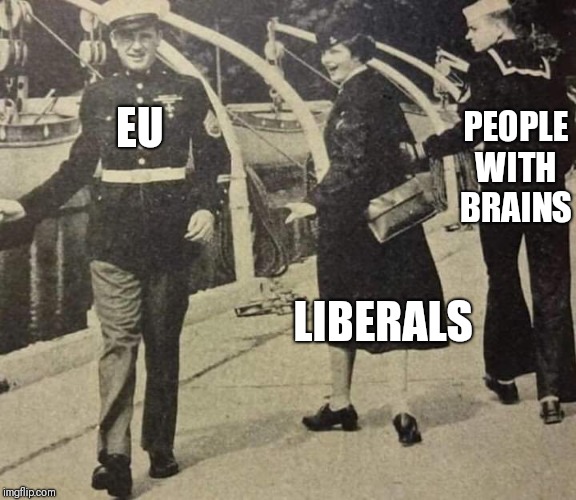 OG LookBack Meme | EU LIBERALS PEOPLE WITH BRAINS | image tagged in og lookback meme | made w/ Imgflip meme maker