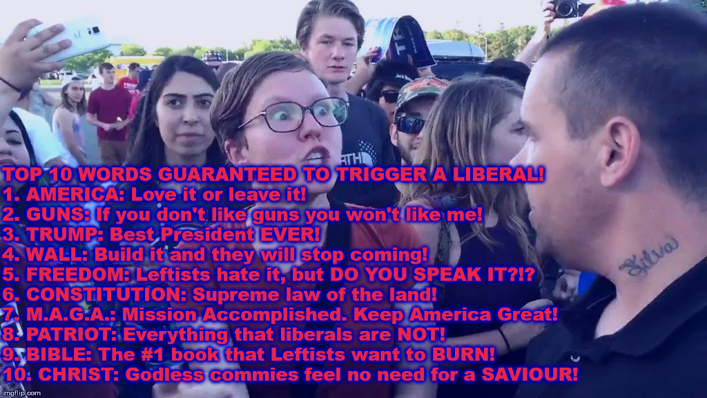 Top 10 words GUARANTEED to TRIGGER a LIBERAL! | TOP 10 WORDS GUARANTEED TO TRIGGER A LIBERAL!
1. AMERICA: Love it or leave it!
2. GUNS: If you don't like guns you won't like me!
3. TRUMP: Best President EVER!
4. WALL: Build it and they will stop coming!
5. FREEDOM: Leftists hate it, but DO YOU SPEAK IT?!?
6. CONSTITUTION: Supreme law of the land!
7. M.A.G.A.: Mission Accomplished. Keep America Great!
8. PATRIOT: Everything that liberals are NOT!
9. BIBLE: The #1 book that Leftists want to BURN!
10. CHRIST: Godless commies feel no need for a SAVIOUR! | image tagged in triggered feminist wide,trigger,liberals | made w/ Imgflip meme maker