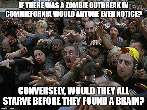 At least they'd no longer be after your wallet. | IF THERE WAS A ZOMBIE OUTBREAK IN COMMIEFORNIA WOULD ANYONE EVEN NOTICE? CONVERSELY, WOULD THEY ALL STARVE BEFORE THEY FOUND A BRAIN? | image tagged in zombies approaching | made w/ Imgflip meme maker