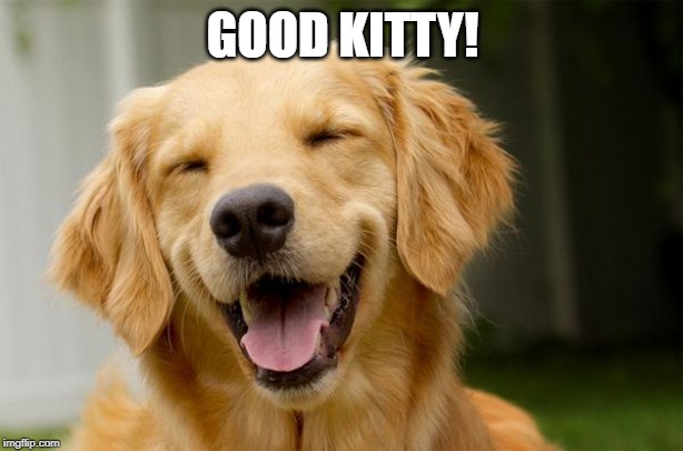 Happy Dog | GOOD KITTY! | image tagged in happy dog | made w/ Imgflip meme maker