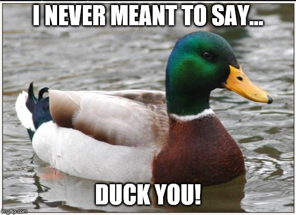 Actual Advice Mallard Meme | I NEVER MEANT TO SAY... DUCK YOU! | image tagged in memes,actual advice mallard | made w/ Imgflip meme maker