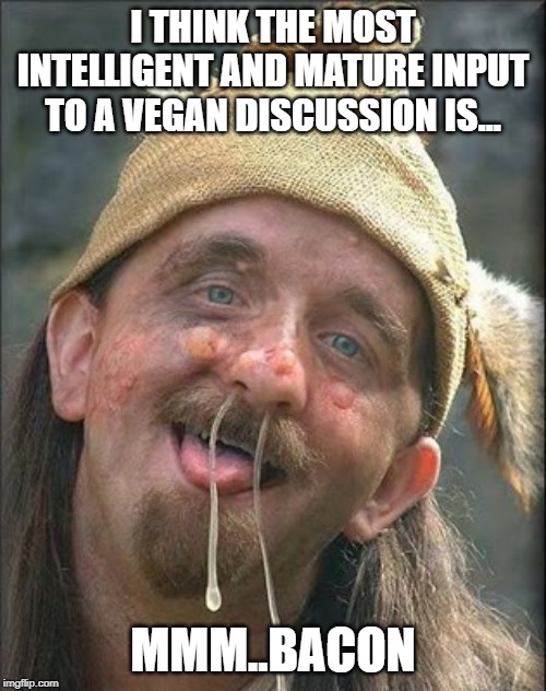 Stupid Hobo | I THINK THE MOST INTELLIGENT AND MATURE INPUT TO A VEGAN DISCUSSION IS... MMM..BACON | image tagged in stupid hobo | made w/ Imgflip meme maker
