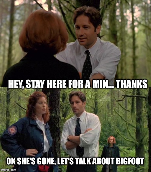 Stop stifling my idea's scully |  HEY, STAY HERE FOR A MIN... THANKS; OK SHE'S GONE, LET'S TALK ABOUT BIGFOOT | image tagged in x files | made w/ Imgflip meme maker
