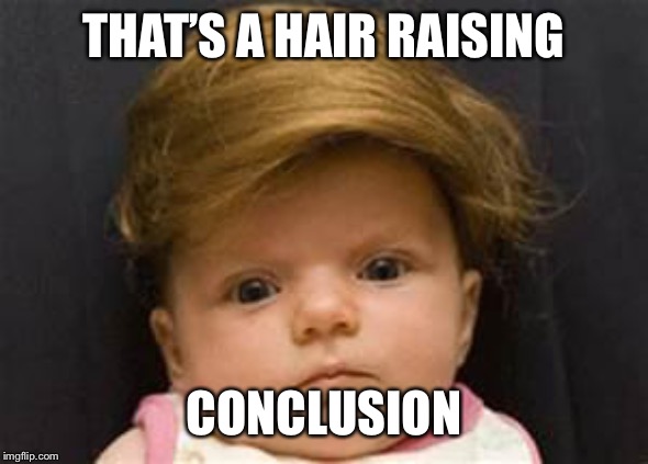 toupee | THAT’S A HAIR RAISING CONCLUSION | image tagged in toupee | made w/ Imgflip meme maker