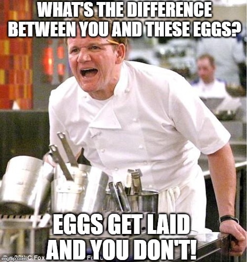 Which Came First? | WHAT'S THE DIFFERENCE BETWEEN YOU AND THESE EGGS? EGGS GET LAID AND YOU DON'T! | image tagged in memes,chef gordon ramsay | made w/ Imgflip meme maker