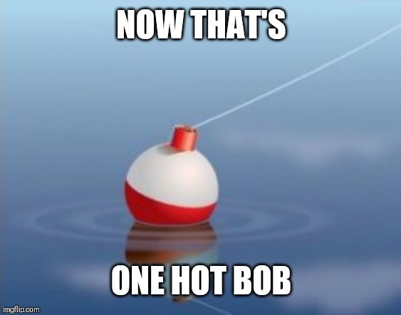 Bobber | NOW THAT'S ONE HOT BOB | image tagged in bobber | made w/ Imgflip meme maker