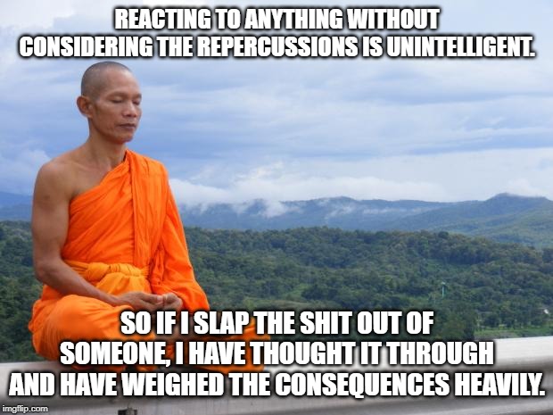 Tibetan monk | REACTING TO ANYTHING WITHOUT CONSIDERING THE REPERCUSSIONS IS UNINTELLIGENT. SO IF I SLAP THE SHIT OUT OF SOMEONE, I HAVE THOUGHT IT THROUGH | image tagged in tibetan monk | made w/ Imgflip meme maker