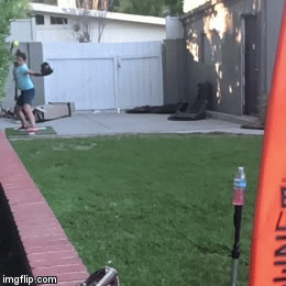 image tagged in gifs | made w/ Imgflip video-to-gif maker