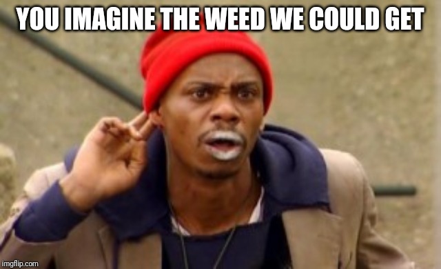 Gossip Junkie | YOU IMAGINE THE WEED WE COULD GET | image tagged in gossip junkie | made w/ Imgflip meme maker