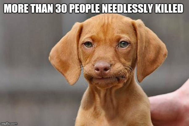 Dissapointed puppy | MORE THAN 30 PEOPLE NEEDLESSLY KILLED | image tagged in dissapointed puppy | made w/ Imgflip meme maker