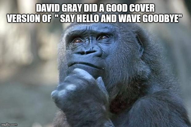that is the question | DAVID GRAY DID A GOOD COVER VERSION OF  " SAY HELLO AND WAVE GOODBYE" | image tagged in that is the question | made w/ Imgflip meme maker