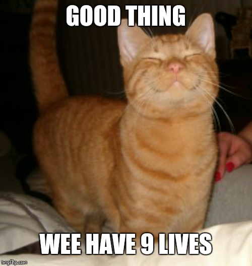 HAPPY MILO | GOOD THING WEE HAVE 9 LIVES | image tagged in happy milo | made w/ Imgflip meme maker