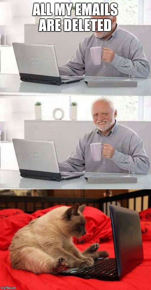 ALL MY EMAILS ARE DELETED | image tagged in quit looking at cats online,memes,hide the pain harold | made w/ Imgflip meme maker