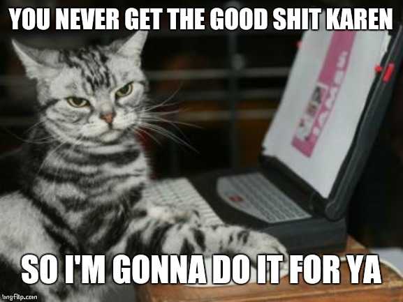 TIRED OF SPECIAL KITTY | YOU NEVER GET THE GOOD SHIT KAREN; SO I'M GONNA DO IT FOR YA | image tagged in cat computer,cats,memes | made w/ Imgflip meme maker