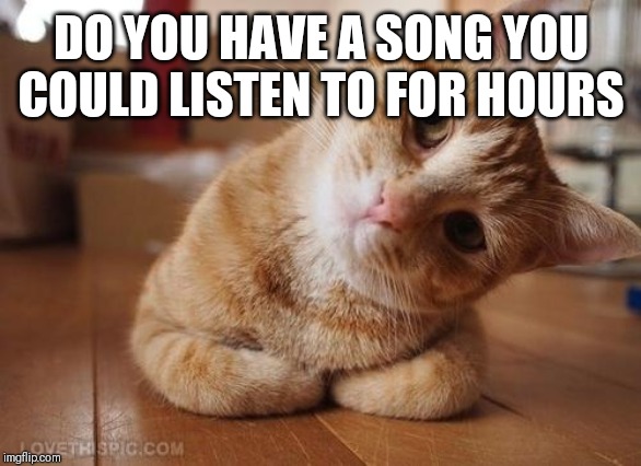 We all got our favorites! | DO YOU HAVE A SONG YOU COULD LISTEN TO FOR HOURS | image tagged in curious question cat | made w/ Imgflip meme maker