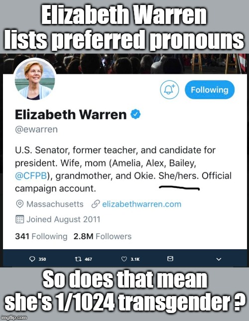 Elizabeth Warren Pronouns | Elizabeth Warren lists preferred pronouns; So does that mean she's 1/1024 transgender ? | image tagged in elizabeth warren,pronouns | made w/ Imgflip meme maker
