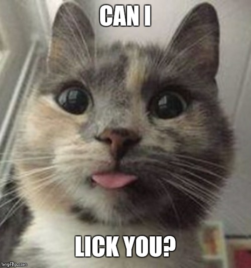 CAN I LICK YOU? | made w/ Imgflip meme maker