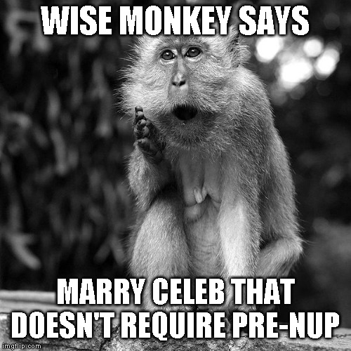 Wise Monkey | WISE MONKEY SAYS MARRY CELEB THAT DOESN'T REQUIRE PRE-NUP | image tagged in wise monkey | made w/ Imgflip meme maker
