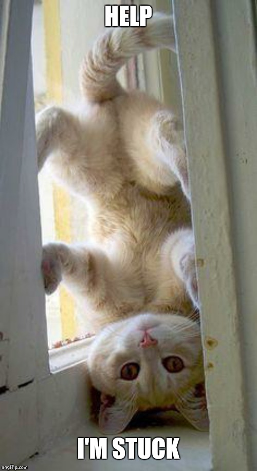 upside down cat | HELP I'M STUCK | image tagged in upside down cat | made w/ Imgflip meme maker