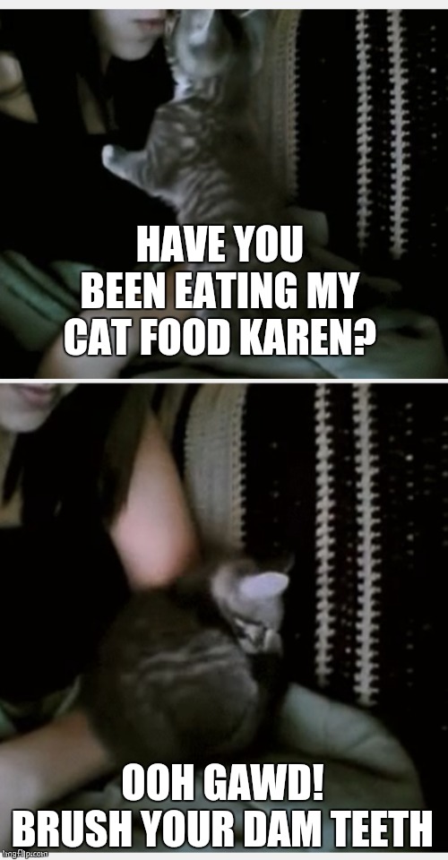 HAVE YOU BEEN EATING MY CAT FOOD KAREN? OOH GAWD! BRUSH YOUR DAM TEETH | made w/ Imgflip meme maker