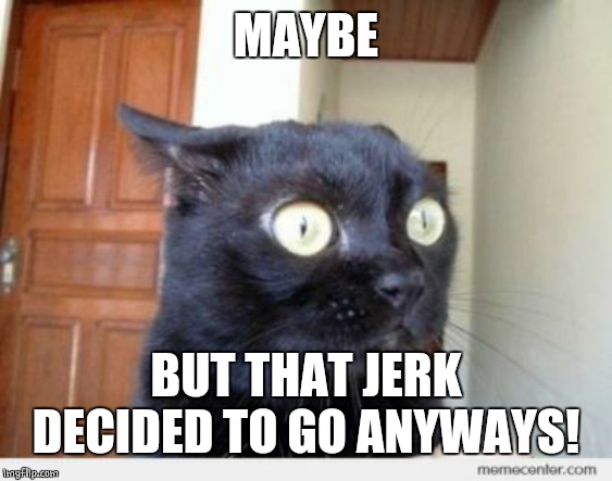 Scared Cat | MAYBE BUT THAT JERK DECIDED TO GO ANYWAYS! | image tagged in scared cat | made w/ Imgflip meme maker