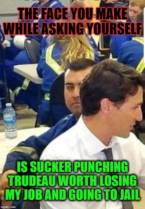 Trudeau-FaceYouMake | THE FACE YOU MAKE WHILE ASKING YOURSELF; IS SUCKER PUNCHING TRUDEAU WORTH LOSING MY JOB AND GOING TO JAIL | image tagged in trudeau-faceyoumake | made w/ Imgflip meme maker