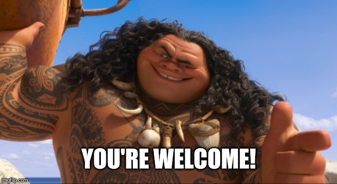 Maui - You're Welcome | YOU'RE WELCOME! | image tagged in maui - you're welcome | made w/ Imgflip meme maker