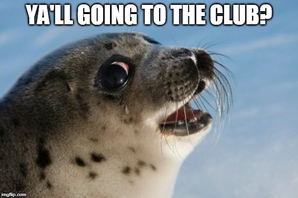 LOL SEAL | YA'LL GOING TO THE CLUB? | image tagged in lol seal | made w/ Imgflip meme maker