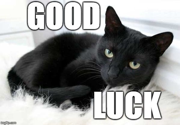 black cat | GOOD LUCK | image tagged in black cat | made w/ Imgflip meme maker