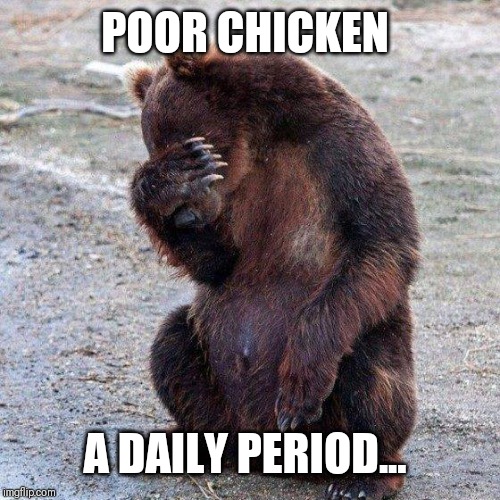 Poor animals | POOR CHICKEN A DAILY PERIOD... | image tagged in poor animals | made w/ Imgflip meme maker