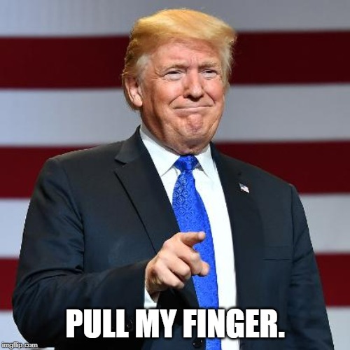 trump pull my finger | PULL MY FINGER. | image tagged in donald trump,trump,fart,i farted | made w/ Imgflip meme maker