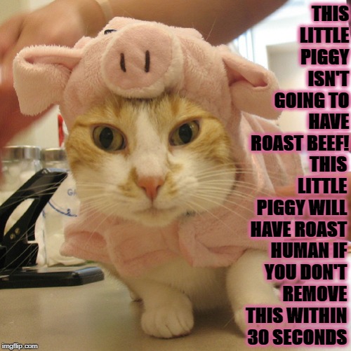 ROAST HUMAN | THIS LITTLE PIGGY ISN'T GOING TO HAVE ROAST BEEF! THIS LITTLE PIGGY WILL HAVE ROAST HUMAN IF YOU DON'T REMOVE THIS WITHIN 30 SECONDS | image tagged in roast human | made w/ Imgflip meme maker