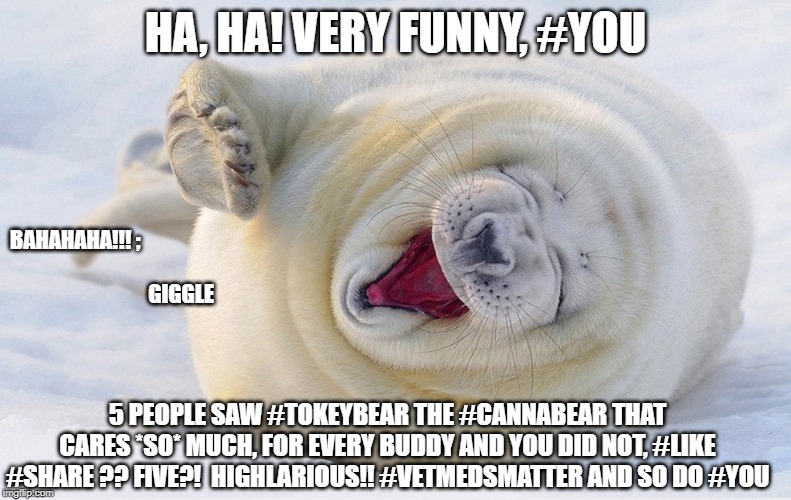 Very Funny | HA, HA! VERY FUNNY, #YOU; BAHAHAHA!!! ;                                                  
          

GIGGLE; 5 PEOPLE SAW #TOKEYBEAR THE #CANNABEAR THAT CARES *SO* MUCH, FOR EVERY BUDDY AND YOU DID NOT, #LIKE #SHARE ?? FIVE?!  HIGHLARIOUS!! #VETMEDSMATTER AND SO DO #YOU | image tagged in very funny | made w/ Imgflip meme maker
