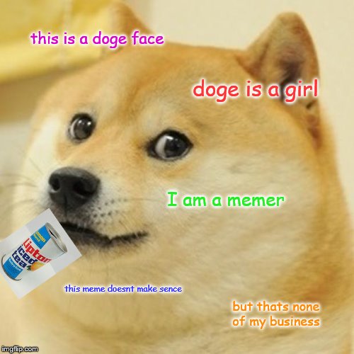 Doge Meme | this is a doge face; doge is a girl; I am a memer; this meme doesnt make sence; but thats none of my business | image tagged in memes,doge | made w/ Imgflip meme maker