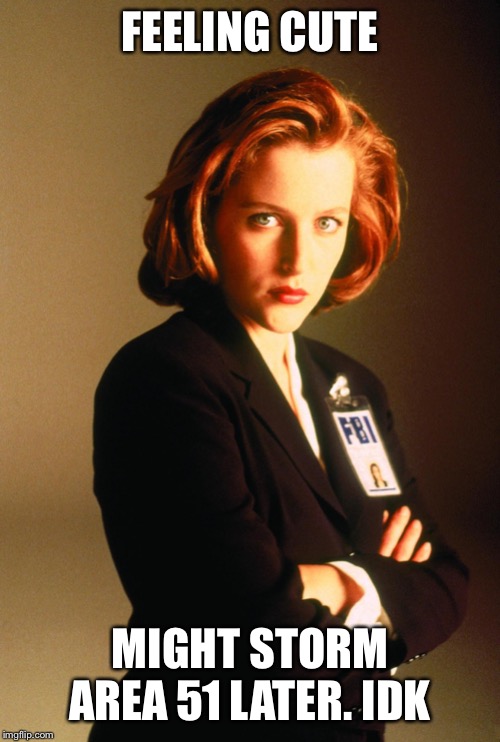 Dana Scully | FEELING CUTE; MIGHT STORM AREA 51 LATER. IDK | image tagged in dana scully | made w/ Imgflip meme maker