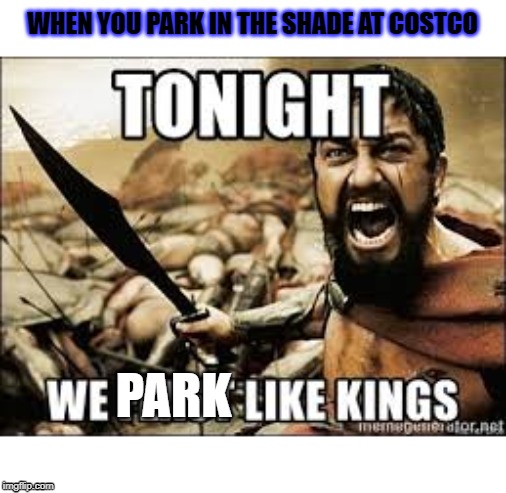 WHEN YOU PARK IN THE SHADE AT COSTCO; PARK | image tagged in random | made w/ Imgflip meme maker