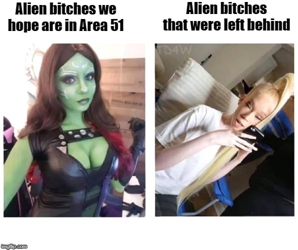 Area 51 Fine and Ugly Alien Bitches Blank Meme Template