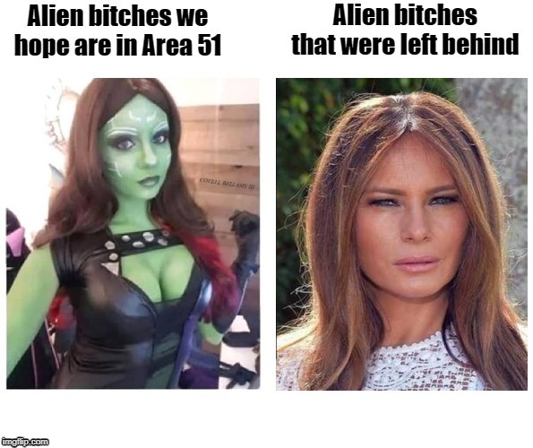 Area 51 Fine and Ugly Alien Bitches | image tagged in area 51 fine and ugly alien bitches | made w/ Imgflip meme maker