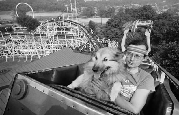 Dog on a roller coaster Blank Meme Template