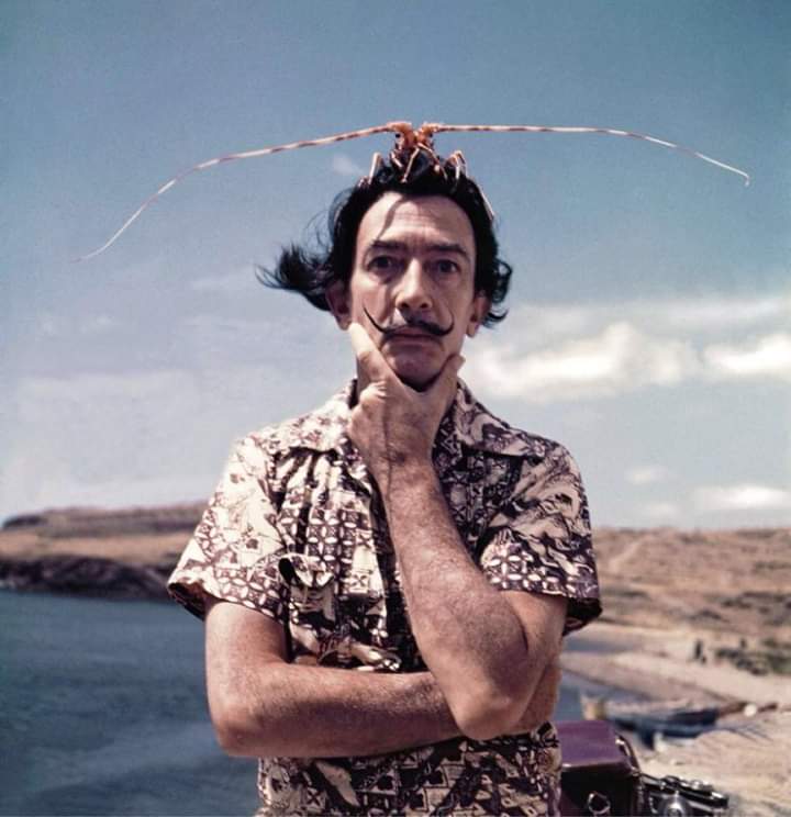 Salvador Dali Blank Meme Template