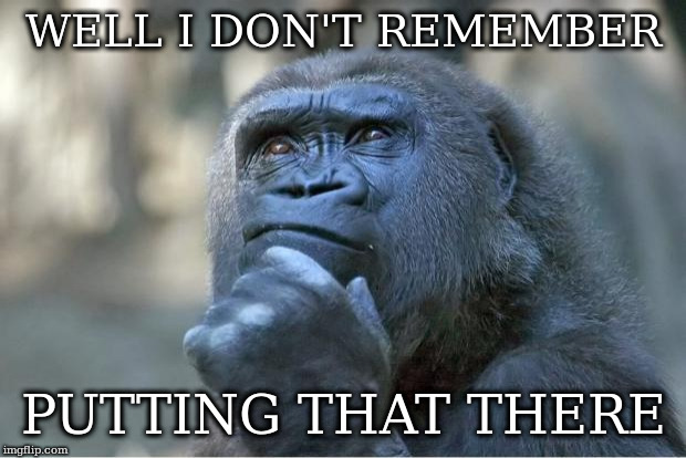The thinking gorilla | WELL I DON'T REMEMBER; PUTTING THAT THERE | image tagged in the thinking gorilla | made w/ Imgflip meme maker