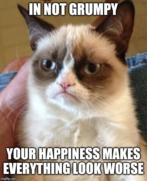 Grumpy Cat Meme | IN NOT GRUMPY; YOUR HAPPINESS MAKES EVERYTHING LOOK WORSE | image tagged in memes,grumpy cat | made w/ Imgflip meme maker
