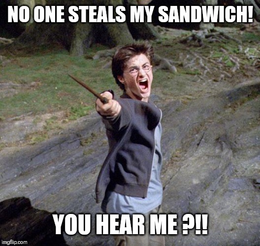Harry potter | NO ONE STEALS MY SANDWICH! YOU HEAR ME ?!! | image tagged in harry potter | made w/ Imgflip meme maker