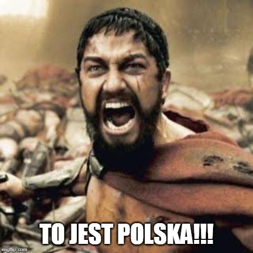 THIS IS SPARTA!!!! | TO JEST POLSKA!!! | image tagged in this is sparta | made w/ Imgflip meme maker