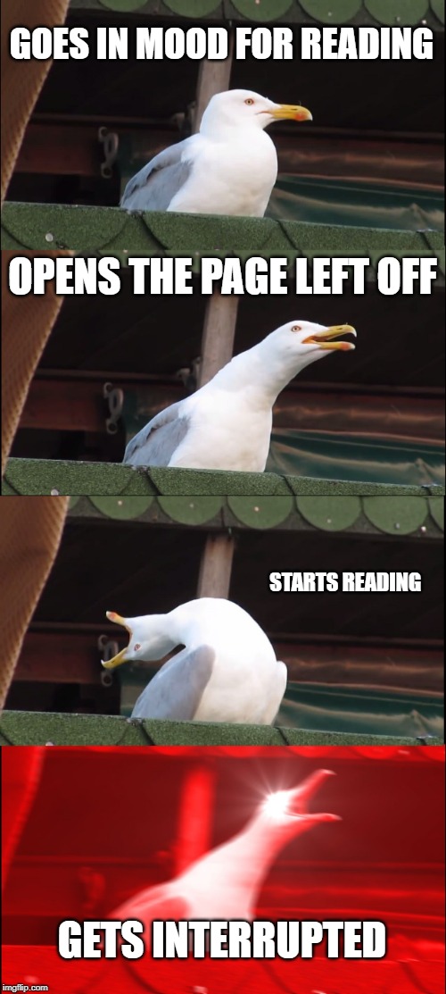 Inhaling Seagull Meme | GOES IN MOOD FOR READING; OPENS THE PAGE LEFT OFF; STARTS READING; GETS INTERRUPTED | image tagged in memes,inhaling seagull | made w/ Imgflip meme maker