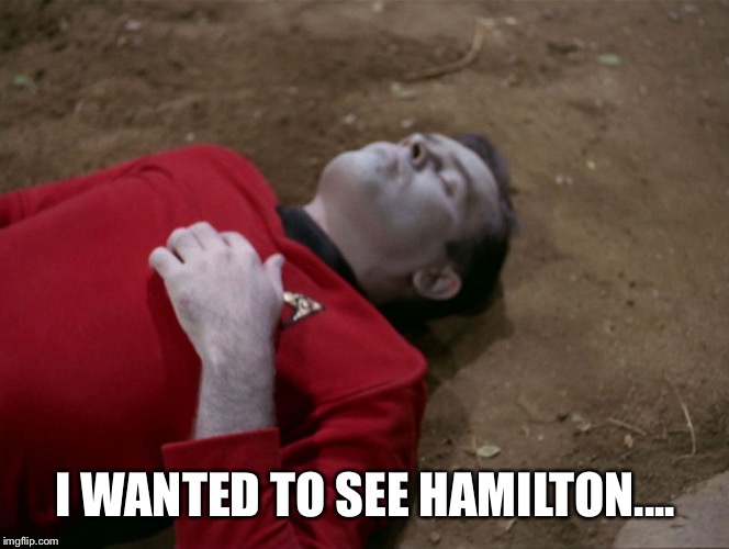 Redshirt Star Trek | I WANTED TO SEE HAMILTON.... | image tagged in redshirt star trek | made w/ Imgflip meme maker