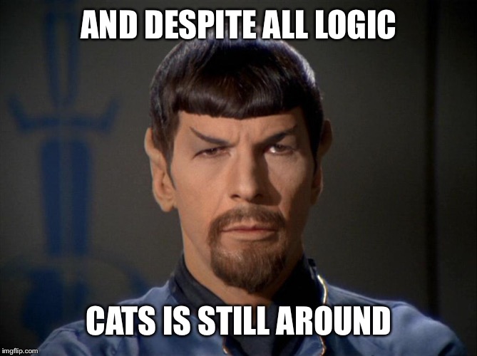 Evil Spock | AND DESPITE ALL LOGIC CATS IS STILL AROUND | image tagged in evil spock | made w/ Imgflip meme maker