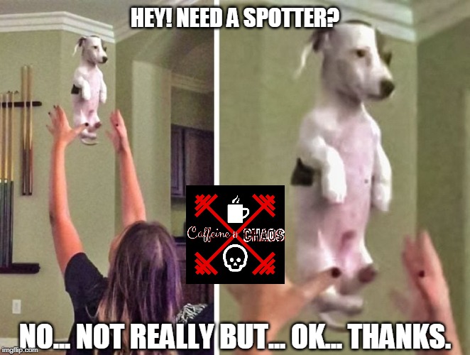 Never again puppy | HEY! NEED A SPOTTER? NO... NOT REALLY BUT... OK... THANKS. | image tagged in never again puppy | made w/ Imgflip meme maker